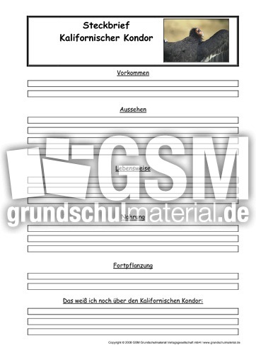 Kalifornischer-Kondor-Steckbriefvorlage.pdf